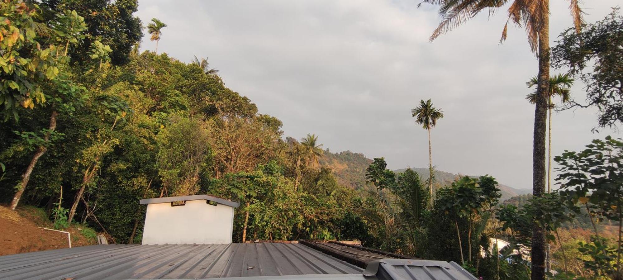Koonamparayil Home Stay Munnar Anaviratty-Family Only Екстер'єр фото