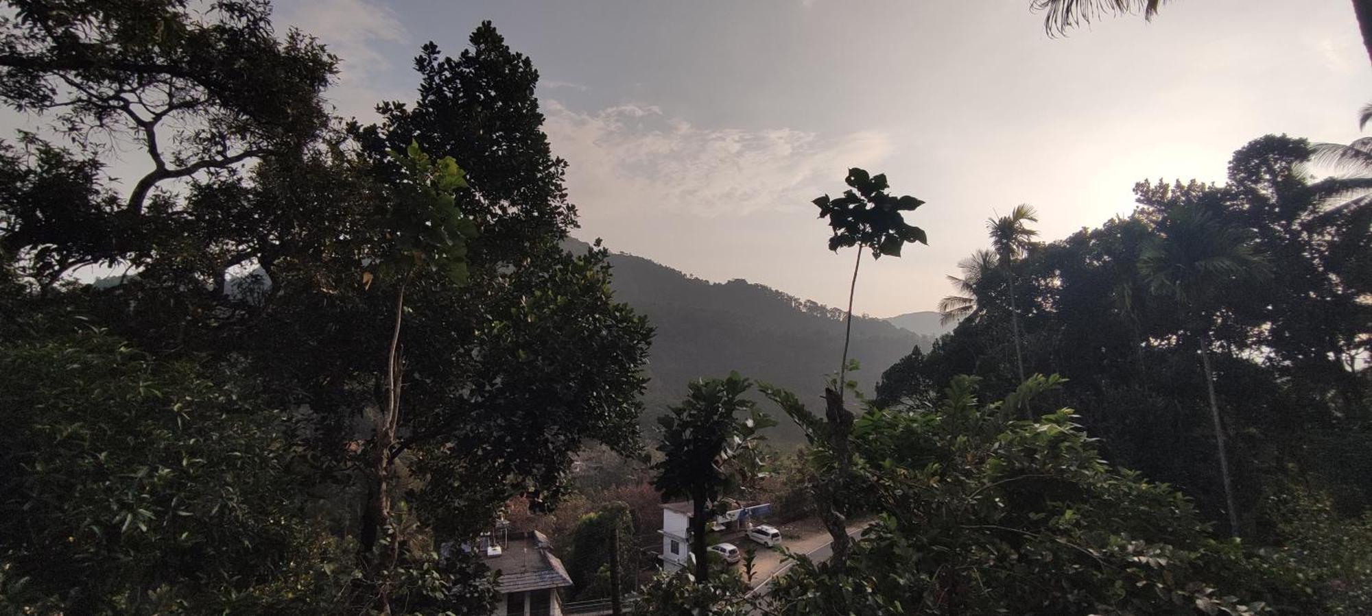 Koonamparayil Home Stay Munnar Anaviratty-Family Only Екстер'єр фото