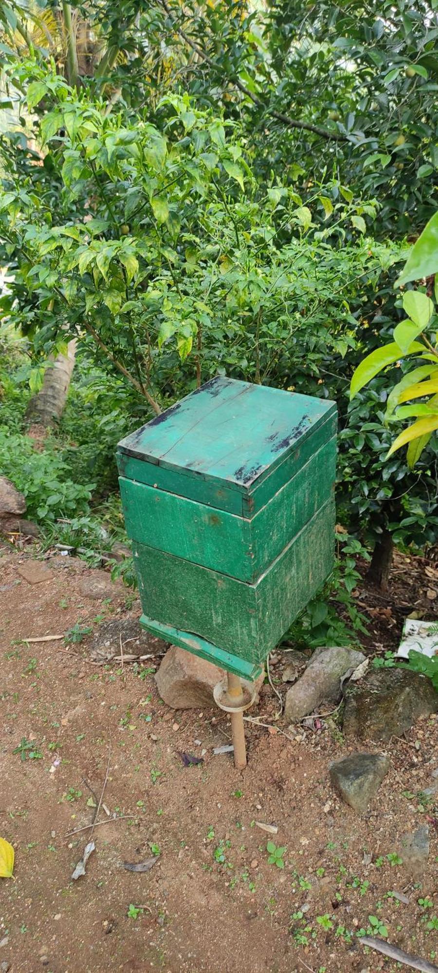 Koonamparayil Home Stay Munnar Anaviratty-Family Only Екстер'єр фото