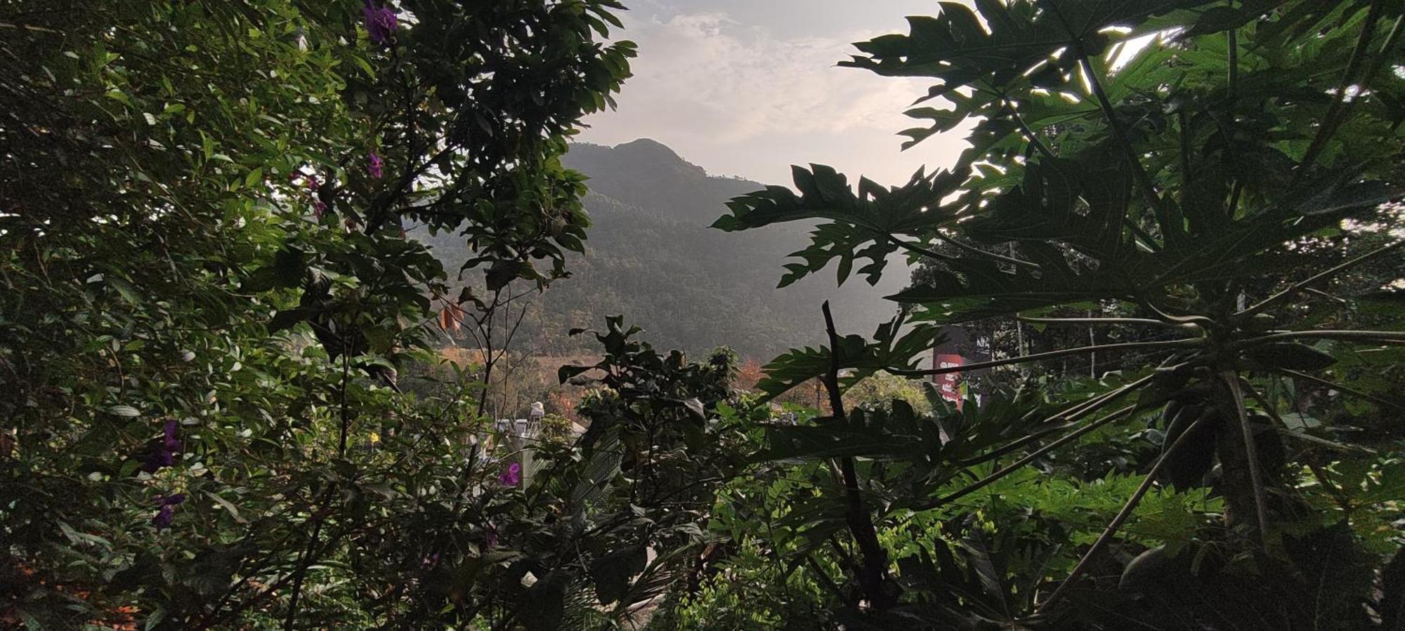 Koonamparayil Home Stay Munnar Anaviratty-Family Only Екстер'єр фото