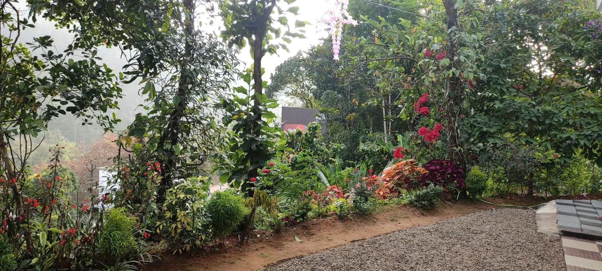 Koonamparayil Home Stay Munnar Anaviratty-Family Only Екстер'єр фото