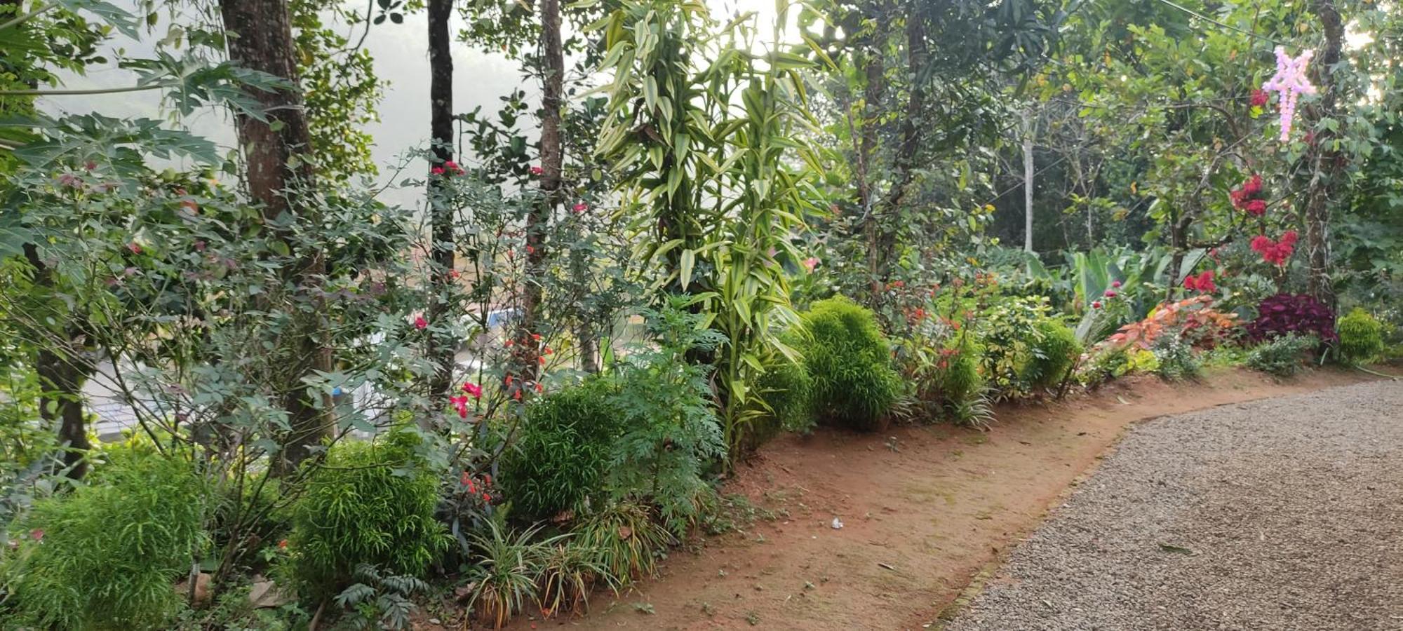 Koonamparayil Home Stay Munnar Anaviratty-Family Only Екстер'єр фото