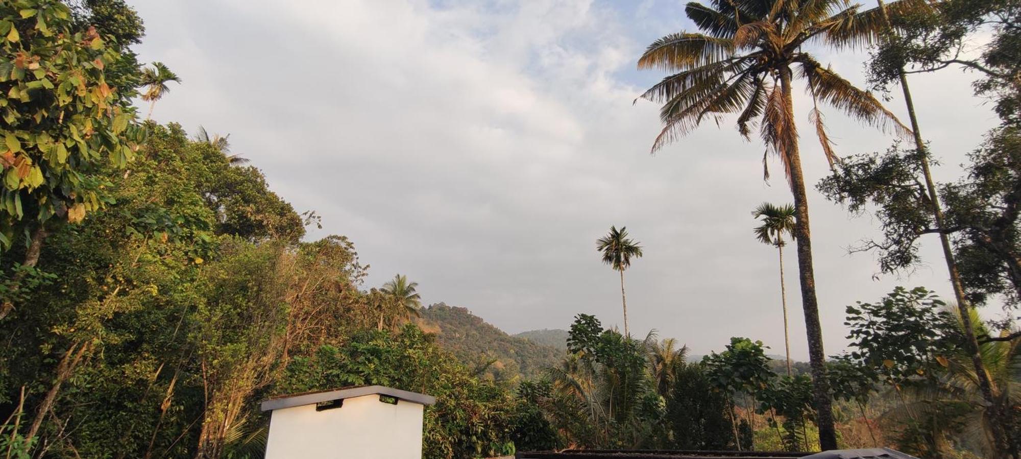 Koonamparayil Home Stay Munnar Anaviratty-Family Only Екстер'єр фото