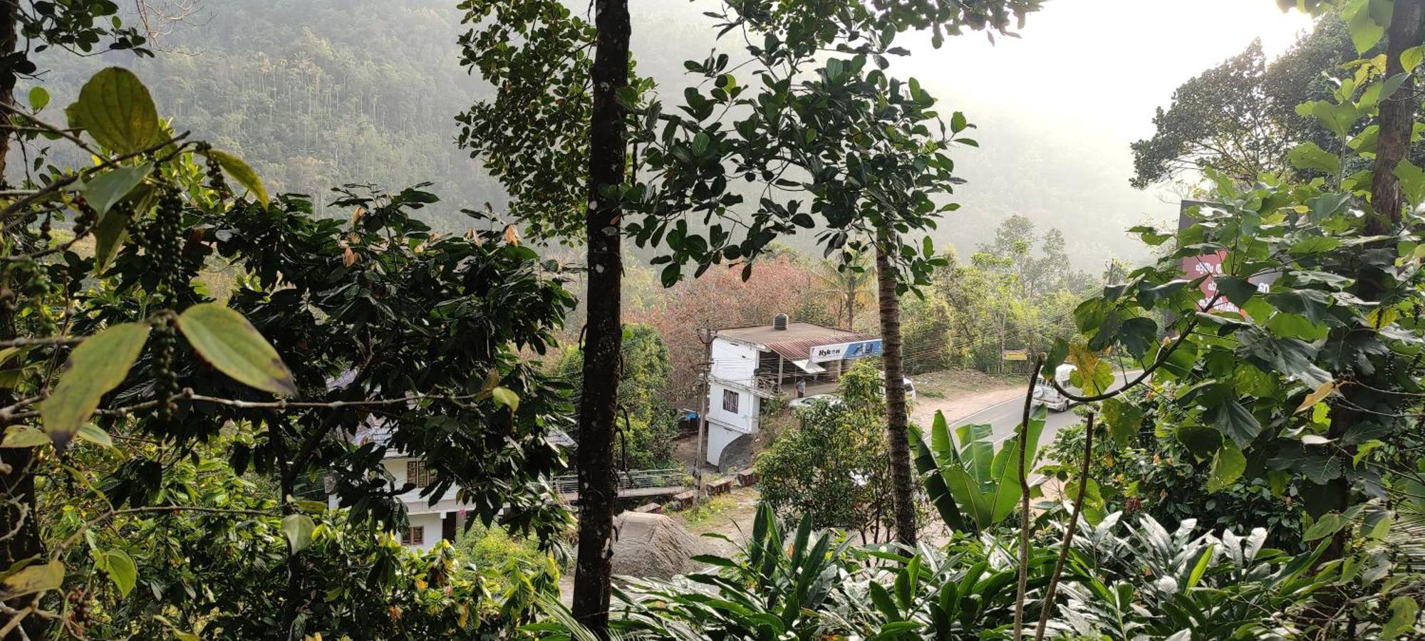 Koonamparayil Home Stay Munnar Anaviratty-Family Only Екстер'єр фото